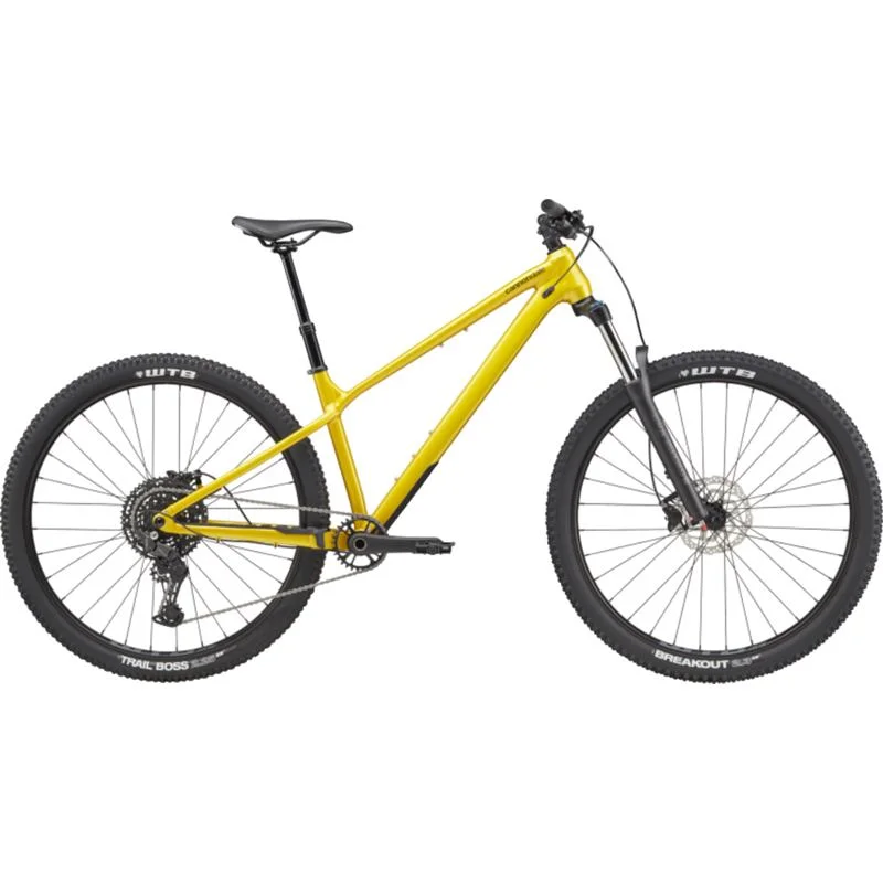 bicyclebuys-424354