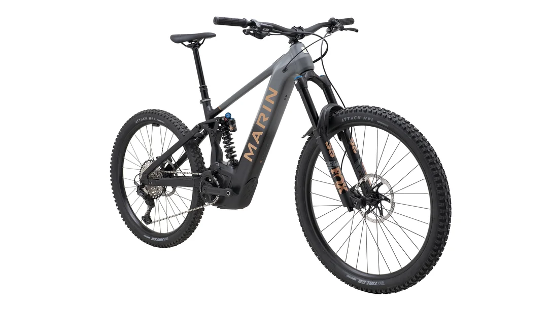 seattleelectricbike1220822