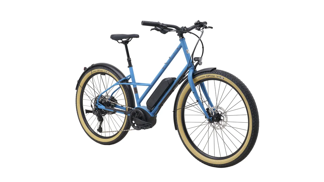 seattleelectricbike1220890