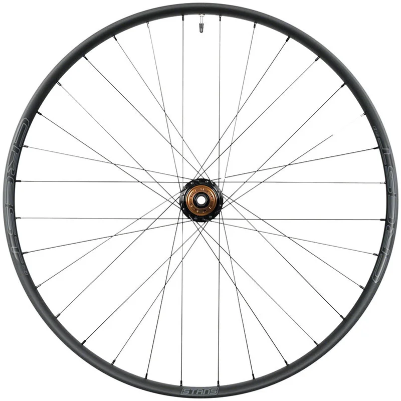 seattleelectricbike1228138
