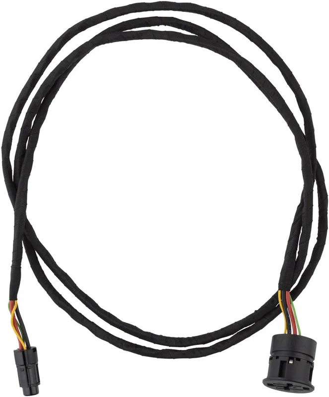 seattleelectricbike1245550
