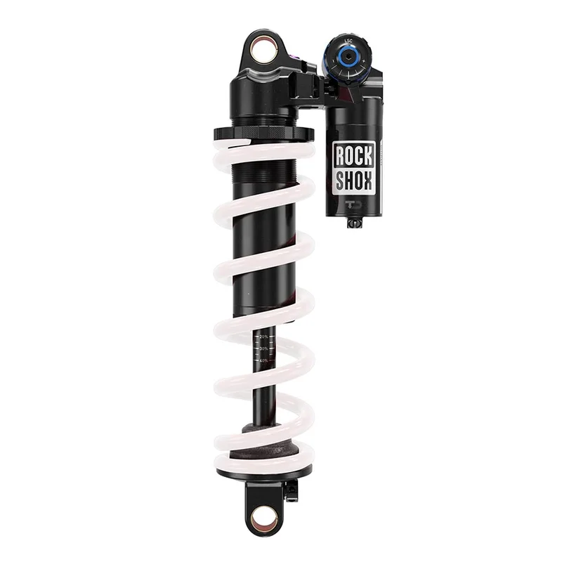 seattleelectricbike1258400