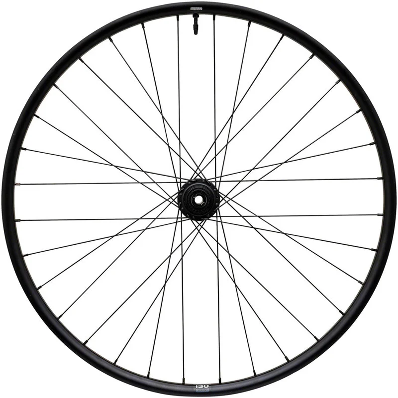 seattleelectricbike3244113