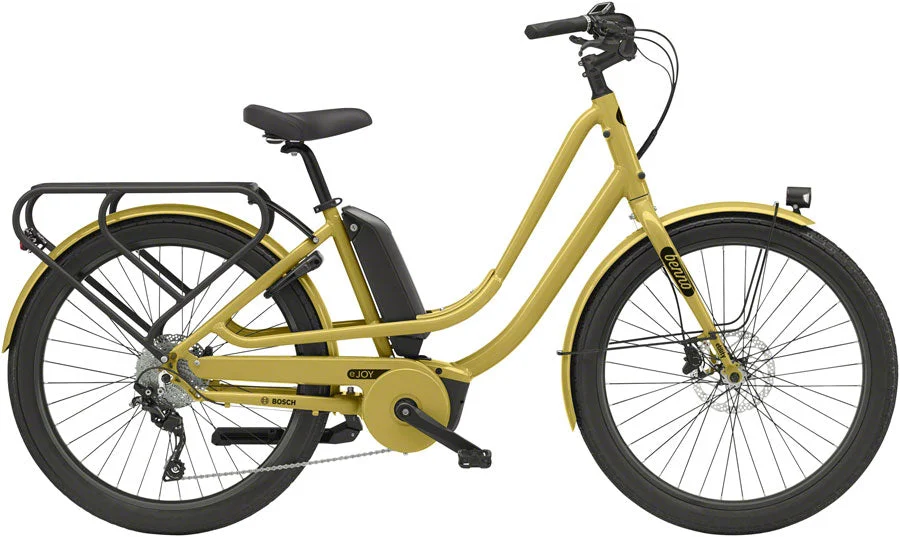 seattleelectricbike3253701