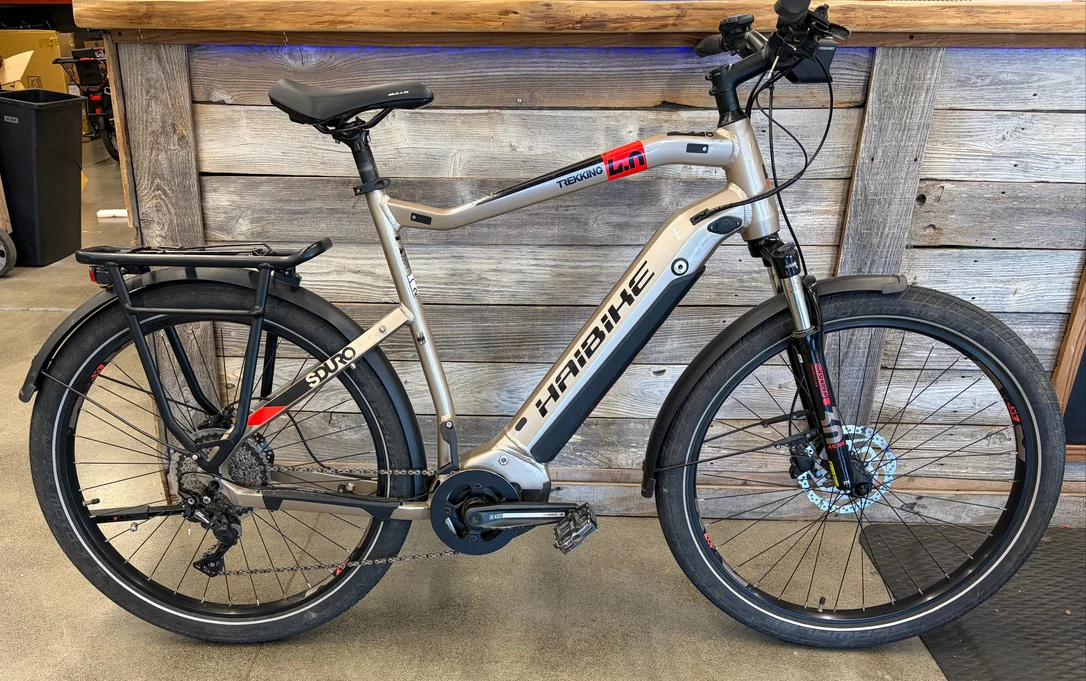 seattleelectricbike3261897