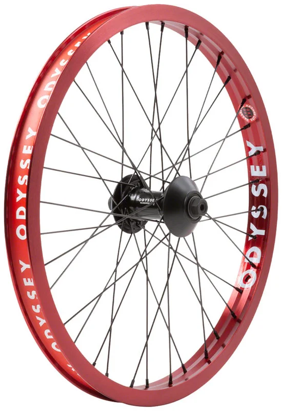 seattleelectricbike4256748
