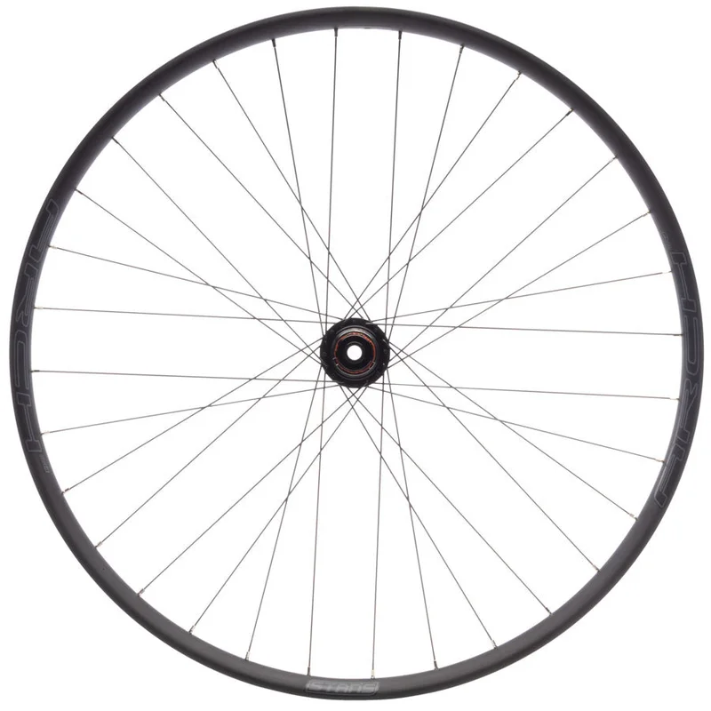 seattleelectricbike4276970