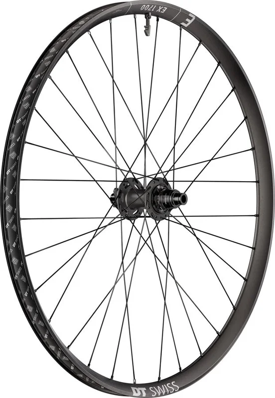 seattleelectricbike4284492