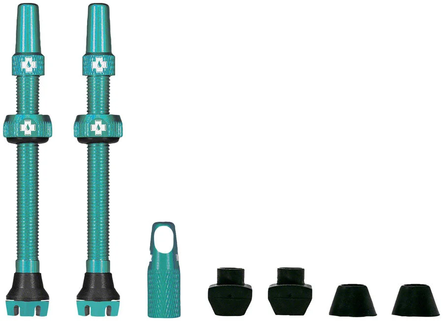 spokex1277786