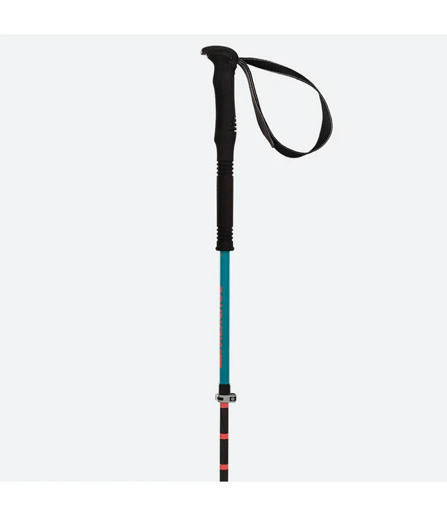 spokex2266541