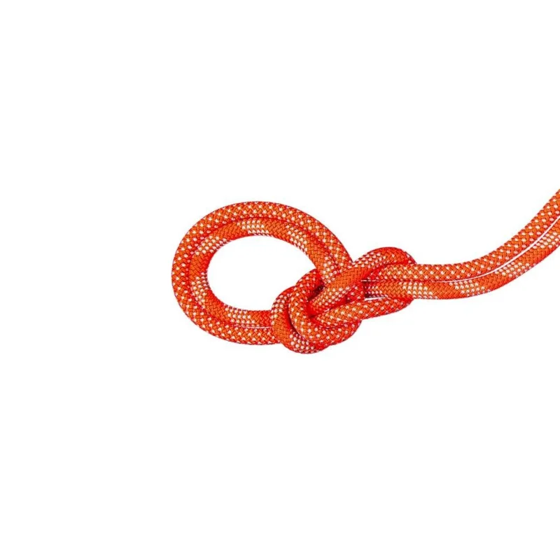 spokex2372258