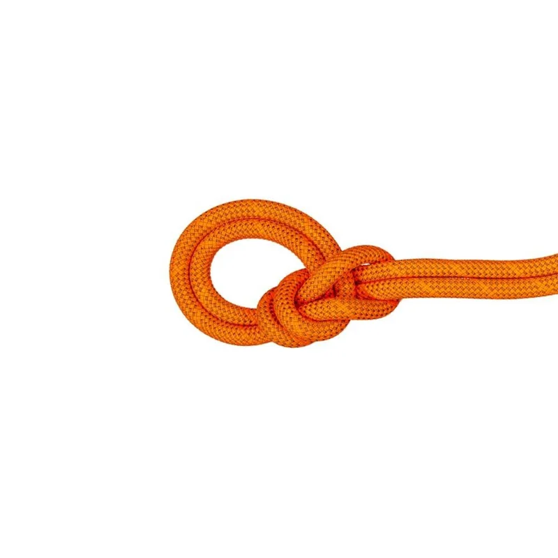 spokex2372263