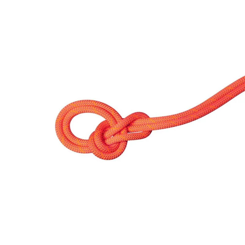 spokex2372265
