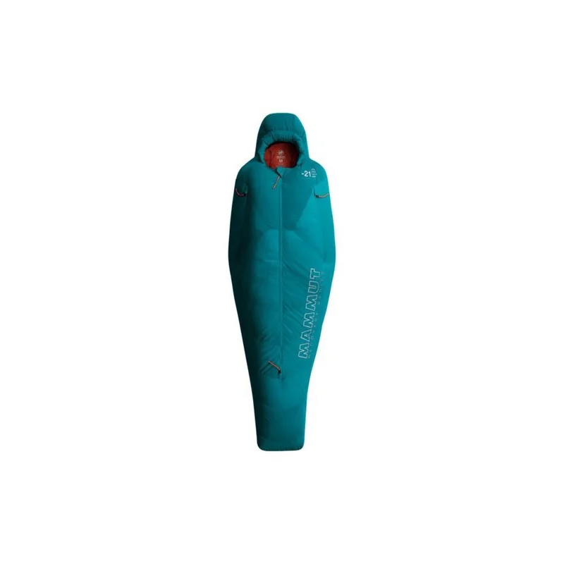 spokex2377648