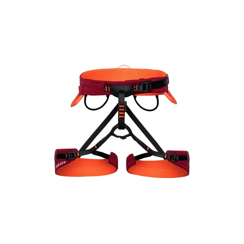 spokex2377682