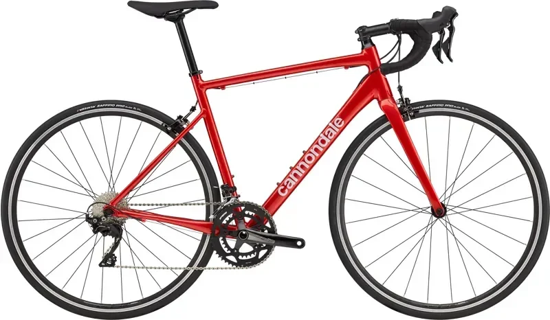 tomsprobike-398477
