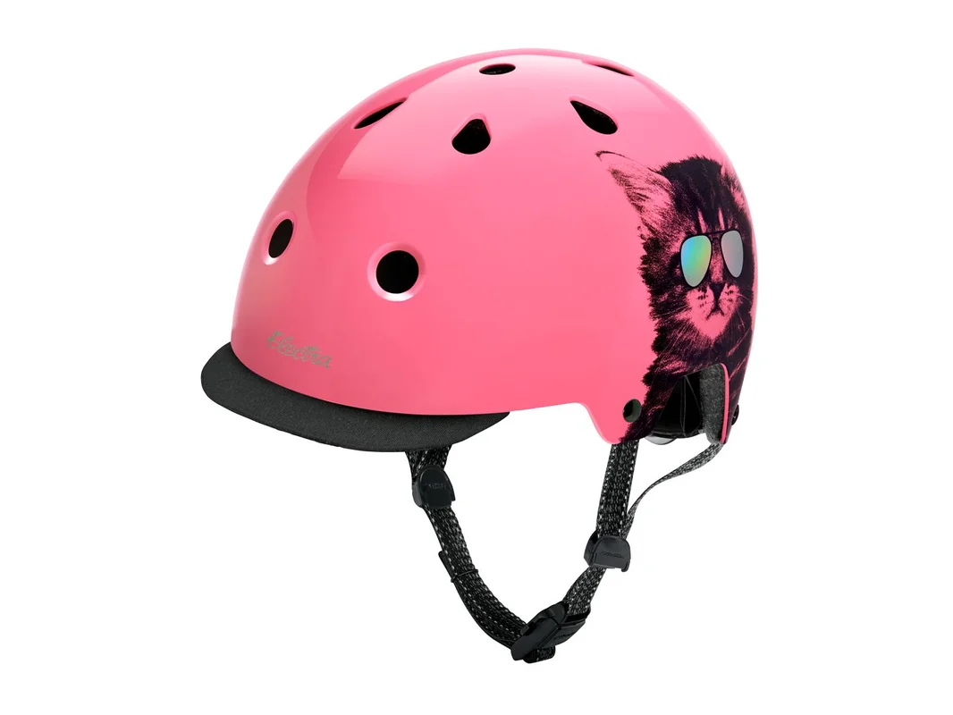 trekbikesflorida2171061