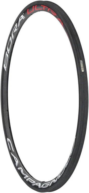 trekbikesflorida3209980
